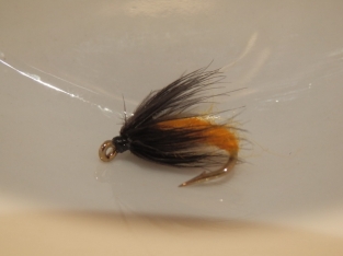 Size 12 Pupa Orange